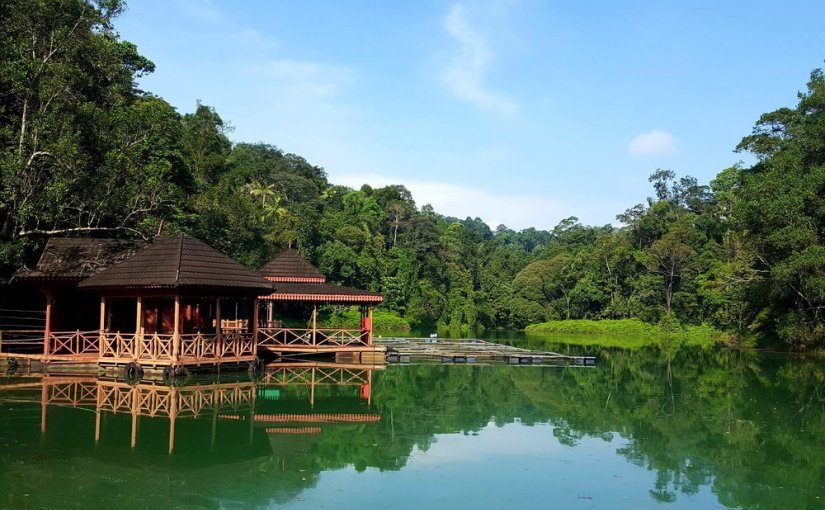 (English) Taman Botani Negara Shah Alam: A Day With Mother Nature